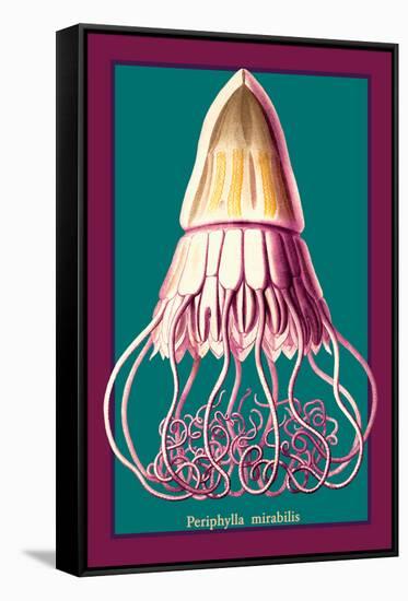 Jellyfish: Periphylla Mirabilis-Ernst Haeckel-Framed Stretched Canvas