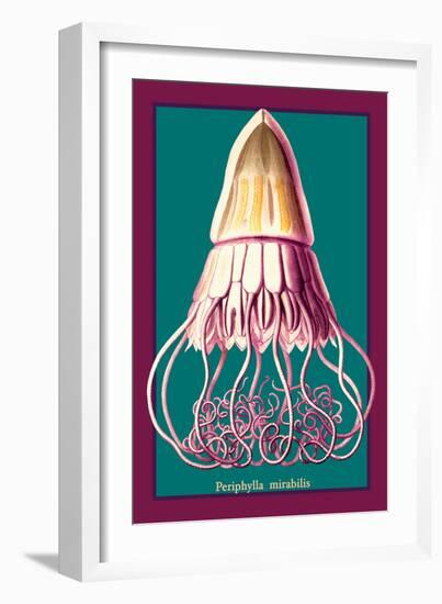 Jellyfish: Periphylla Mirabilis-Ernst Haeckel-Framed Art Print