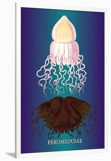 Jellyfish: Peromedusae-Ernst Haeckel-Framed Art Print