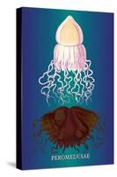 Jellyfish: Peromedusae-Ernst Haeckel-Stretched Canvas