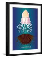 Jellyfish: Peromedusae-Ernst Haeckel-Framed Art Print