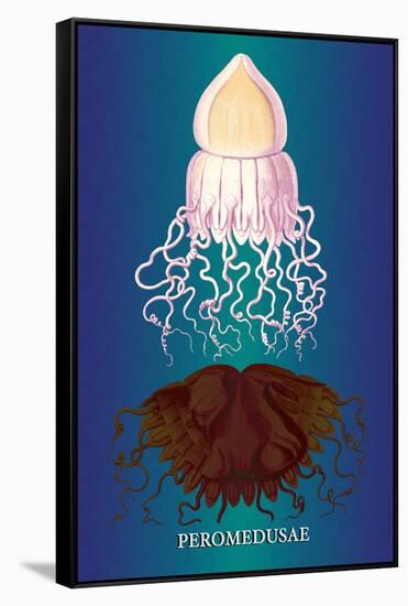 Jellyfish: Peromedusae-Ernst Haeckel-Framed Stretched Canvas