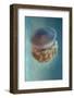 Jellyfish - Phylorhiza Punctata-Yaron Halevy-Framed Photographic Print