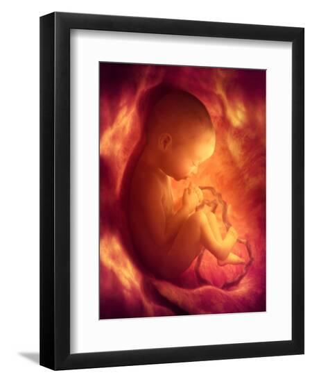Premium Photographic Print, , large