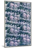 Jellyfish, Pink Design-null-Mounted Art Print