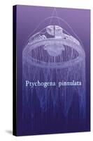 Jellyfish: Ptychogena Pinnulata-Ernst Haeckel-Stretched Canvas