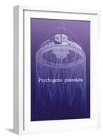 Jellyfish: Ptychogena Pinnulata-Ernst Haeckel-Framed Art Print