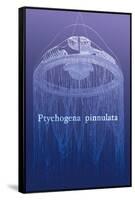 Jellyfish: Ptychogena Pinnulata-Ernst Haeckel-Framed Stretched Canvas