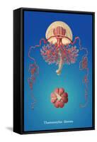 Jellyfish: Thamnostylus Dinema-Ernst Haeckel-Framed Stretched Canvas