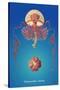 Jellyfish: Thamnostylus Dinema-Ernst Haeckel-Stretched Canvas