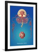 Jellyfish: Thamnostylus Dinema-Ernst Haeckel-Framed Art Print