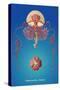 Jellyfish: Thamnostylus Dinema-Ernst Haeckel-Stretched Canvas