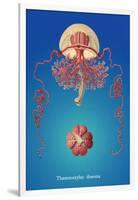 Jellyfish: Thamnostylus Dinema-Ernst Haeckel-Framed Art Print