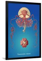 Jellyfish: Thamnostylus Dinema-Ernst Haeckel-Framed Art Print