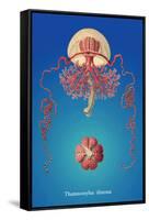 Jellyfish: Thamnostylus Dinema-Ernst Haeckel-Framed Stretched Canvas