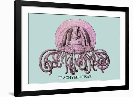 Jellyfish: Trachymedusae-Ernst Haeckel-Framed Premium Giclee Print