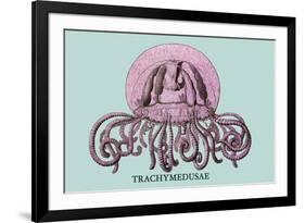 Jellyfish: Trachymedusae-Ernst Haeckel-Framed Premium Giclee Print