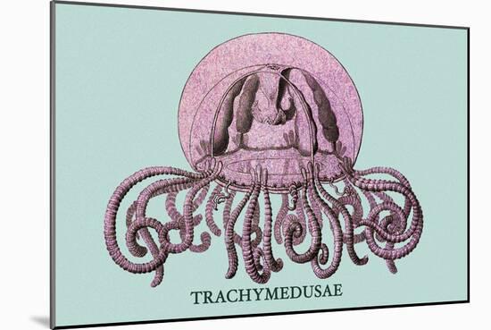 Jellyfish: Trachymedusae-Ernst Haeckel-Mounted Art Print