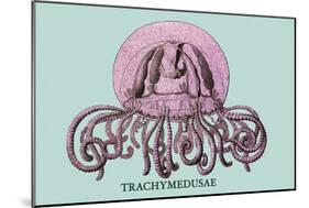 Jellyfish: Trachymedusae-Ernst Haeckel-Mounted Art Print