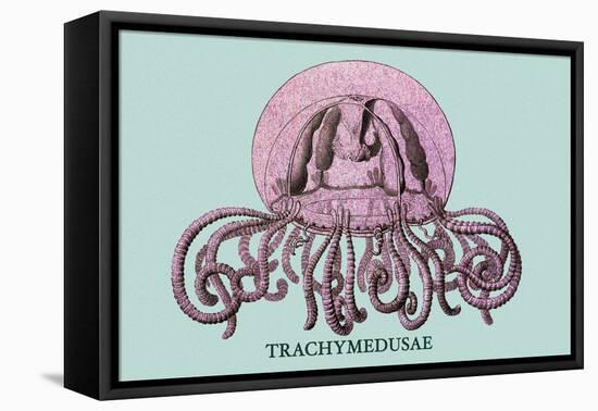 Jellyfish: Trachymedusae-Ernst Haeckel-Framed Stretched Canvas