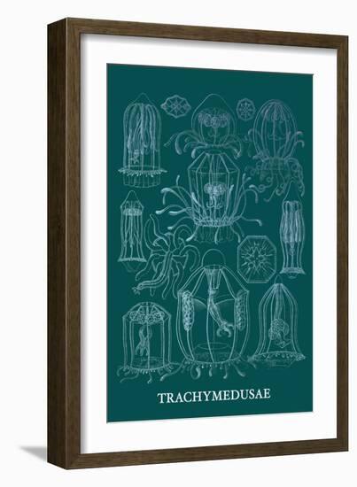 Jellyfish: Trachymedusae-Ernst Haeckel-Framed Art Print