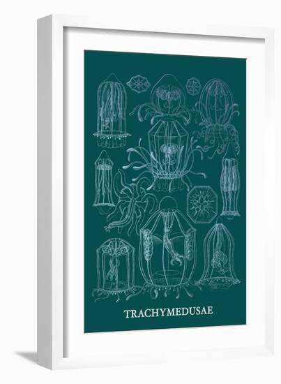 Jellyfish: Trachymedusae-Ernst Haeckel-Framed Art Print