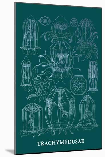 Jellyfish: Trachymedusae-Ernst Haeckel-Mounted Art Print