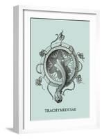 Jellyfish: Trachymedusae-Ernst Haeckel-Framed Art Print