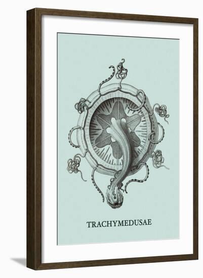 Jellyfish: Trachymedusae-Ernst Haeckel-Framed Art Print