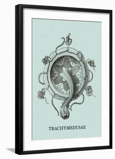 Jellyfish: Trachymedusae-Ernst Haeckel-Framed Art Print