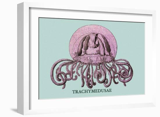 Jellyfish: Trachymedusae-Ernst Haeckel-Framed Art Print