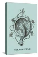 Jellyfish: Trachymedusae-Ernst Haeckel-Stretched Canvas