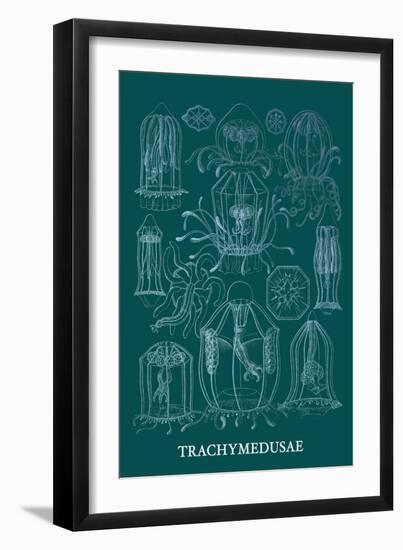 Jellyfish: Trachymedusae-Ernst Haeckel-Framed Art Print