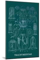 Jellyfish: Trachymedusae-Ernst Haeckel-Mounted Art Print