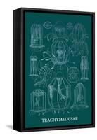 Jellyfish: Trachymedusae-Ernst Haeckel-Framed Stretched Canvas