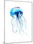 Jellyfish Watercolor Illustration. Medusa Painting Isolated on White Background, Colorful Tattoo De-Anna Kutukova-Mounted Art Print