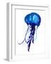 Jellyfish Watercolor Illustration. Painted Medusa Isolated on White Background, Underwater Wildlife-Anna Kutukova-Framed Art Print