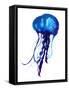 Jellyfish Watercolor Illustration. Painted Medusa Isolated on White Background, Underwater Wildlife-Anna Kutukova-Framed Stretched Canvas