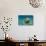 Jellyfish with Fishes-Aleks White-Photographic Print displayed on a wall