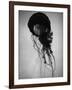 Jellyfish-Henry Horenstein-Framed Photographic Print