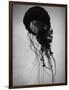 Jellyfish-Henry Horenstein-Framed Photographic Print