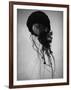 Jellyfish-Henry Horenstein-Framed Photographic Print