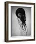 Jellyfish-Henry Horenstein-Framed Photographic Print