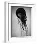 Jellyfish-Henry Horenstein-Framed Photographic Print