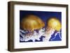 Jellyfish-Andrushko Galyna-Framed Photographic Print