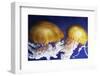 Jellyfish-Andrushko Galyna-Framed Photographic Print