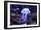 Jellyfish-Aizhong Wang-Framed Photographic Print