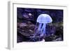Jellyfish-Aizhong Wang-Framed Photographic Print