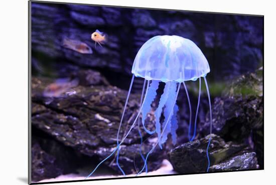 Jellyfish-Aizhong Wang-Mounted Photographic Print