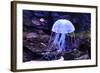 Jellyfish-Aizhong Wang-Framed Photographic Print